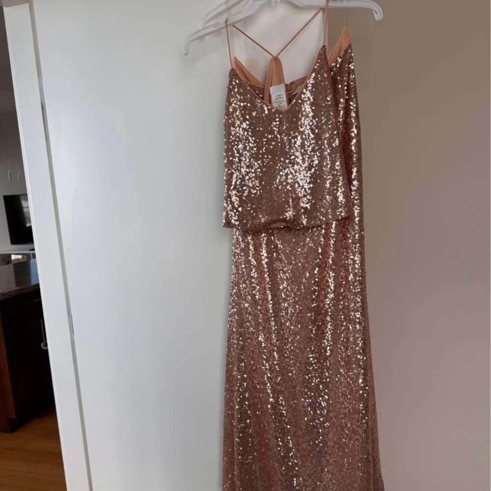 Watters Rose Gold Sequin Dress (Two piece)